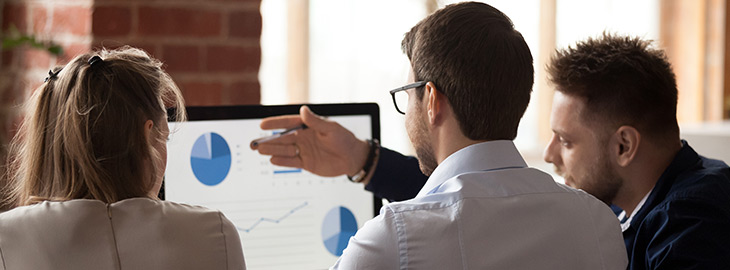 consultant and business partners conducting an audit