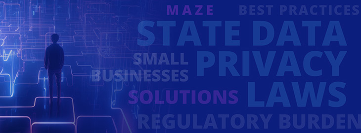 how state privacy laws affect small businesses
