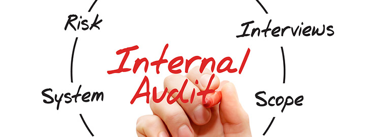 hand writing Internal Audit in red marker in the middle of Risk Interviews System Scope flow diagram