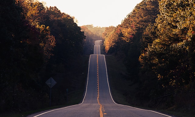 Long road in wooded area